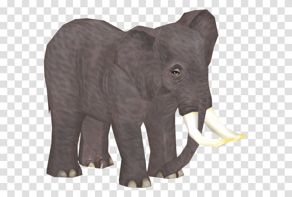 Indian Elephant, Wildlife, Mammal, Animal, Ivory Transparent Png