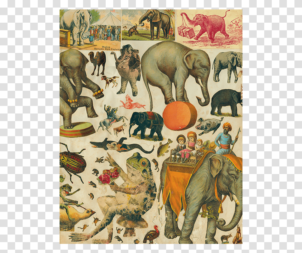 Indian Elephant, Wildlife, Mammal, Animal, Person Transparent Png