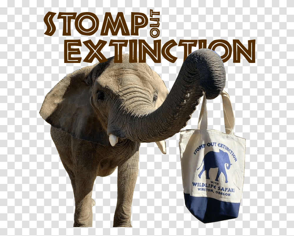 Indian Elephant, Wildlife, Mammal, Animal, Tote Bag Transparent Png