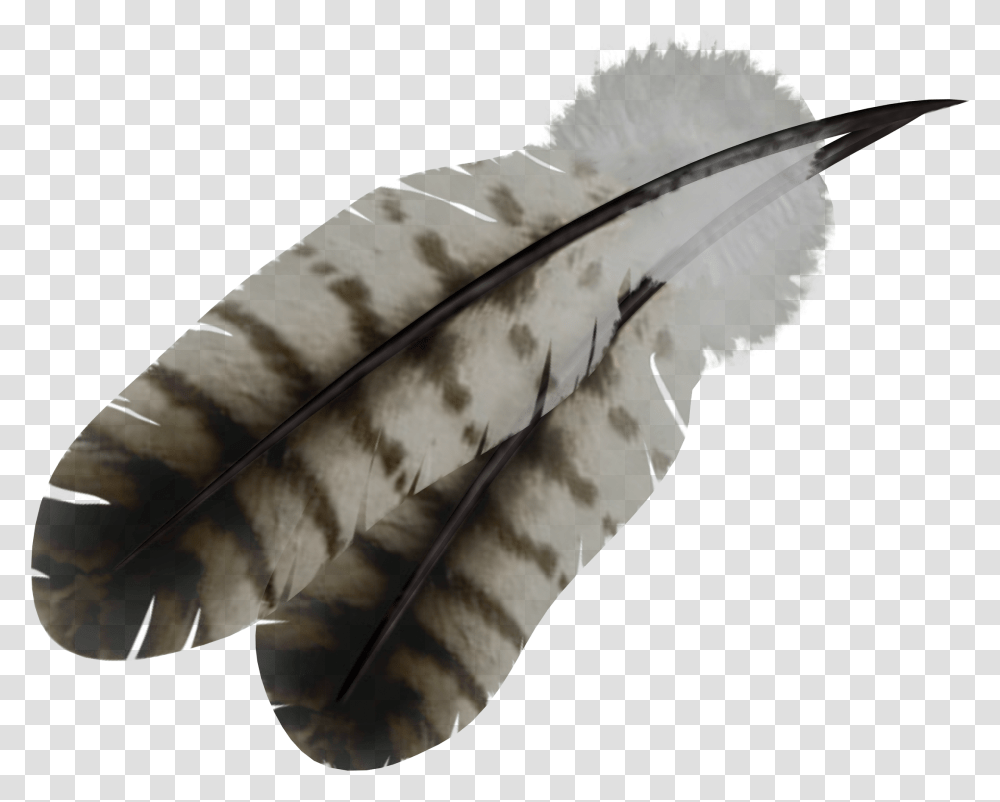 Indian Feather Background Feathers, Animal, Bird, Snake, Reptile Transparent Png