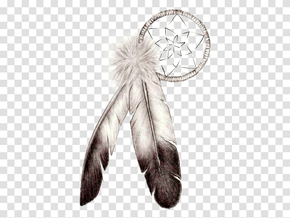 Indian Feather, Leaf, Plant, Animal, Person Transparent Png