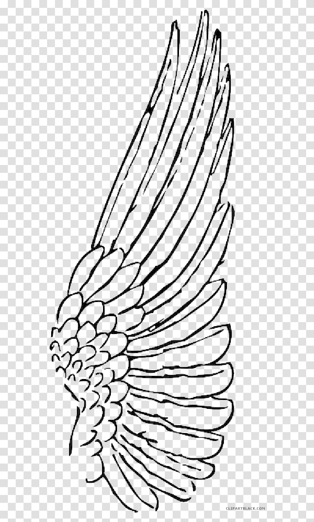 Indian Feather Single Angel Wing Clipart, Spider Web Transparent Png
