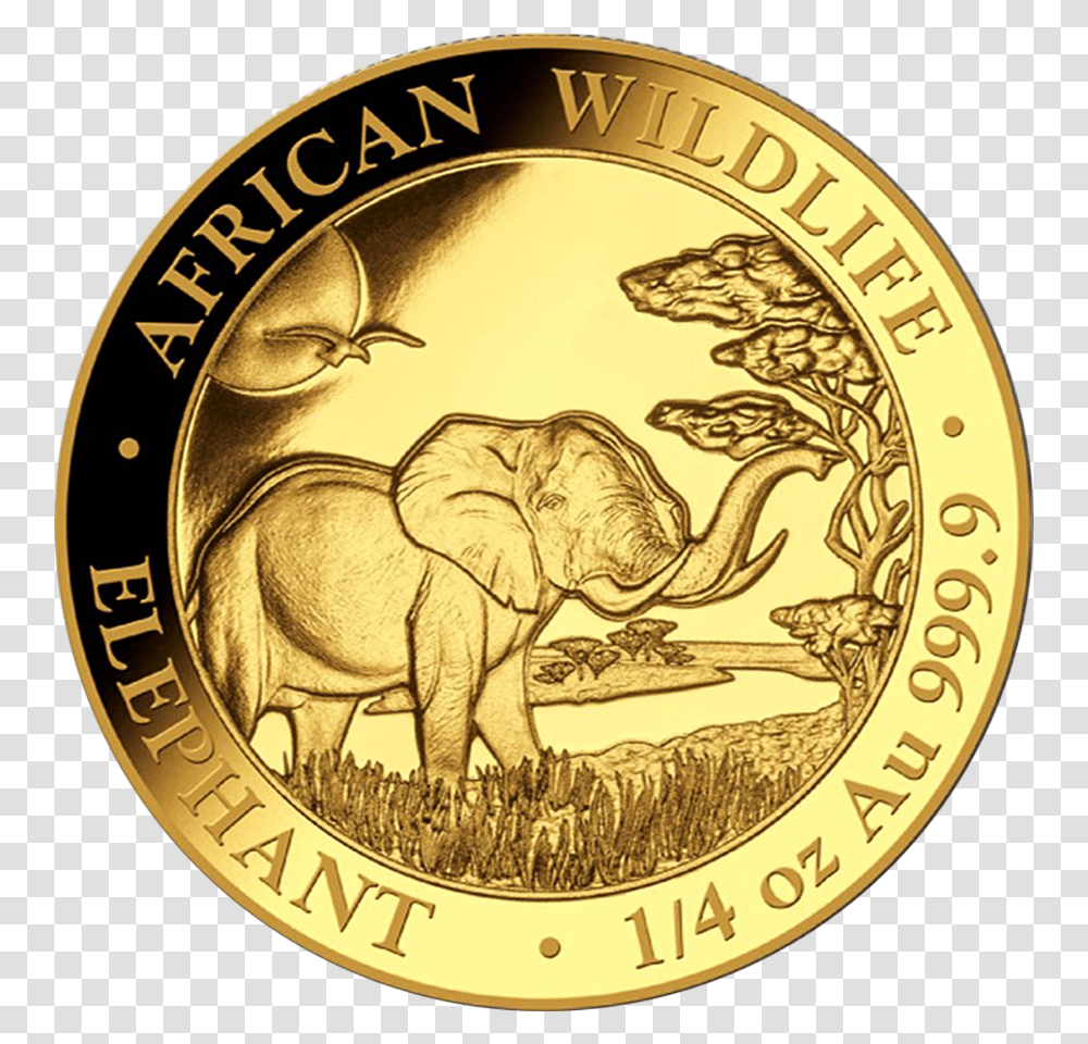 Indian Gold Coin, Money, Elephant, Wildlife, Mammal Transparent Png