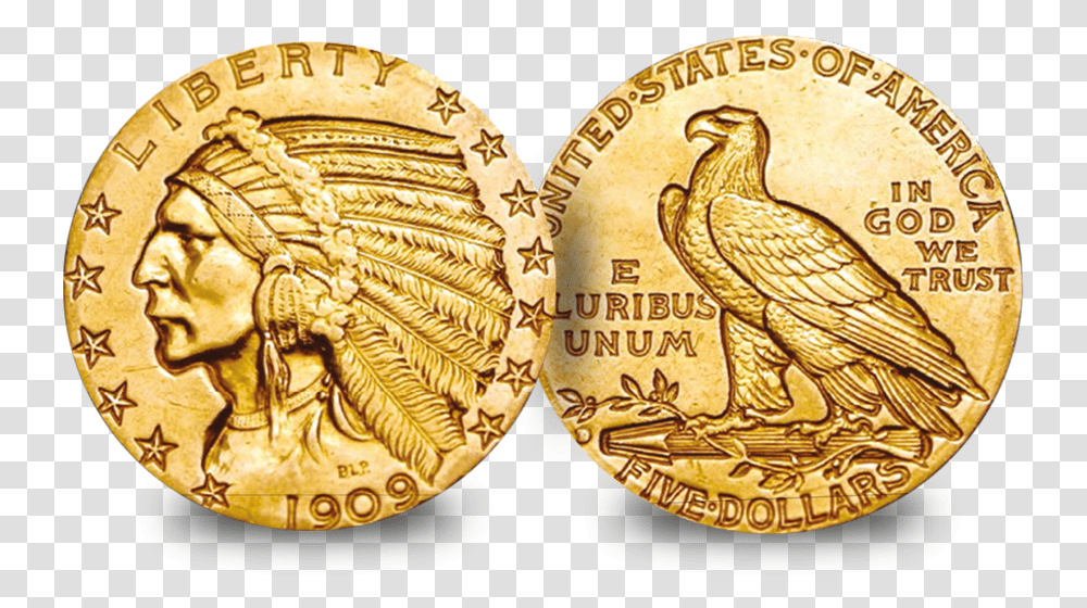 Indian Head Gold Dollar Coin 1910 Indian Head Gold, Bird, Animal, Money, Gold Medal Transparent Png