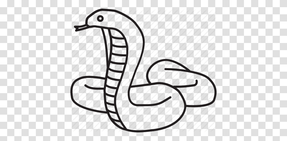 Indian King King Cobra Reptile Serpent Snake Venom Icon, Chair, Alphabet Transparent Png