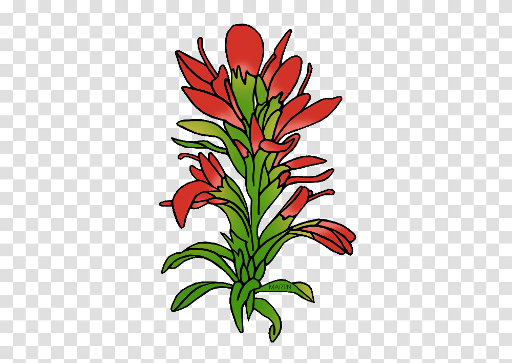Indian Paintbrush Cliparts Free Download Clip Art, Plant, Flower, Blossom Transparent Png