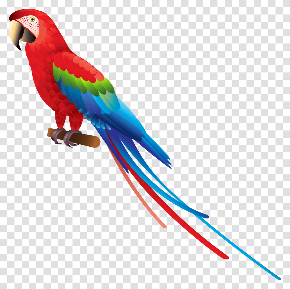 Indian Parrot Background Parrot Clipart, Macaw, Bird, Animal Transparent Png