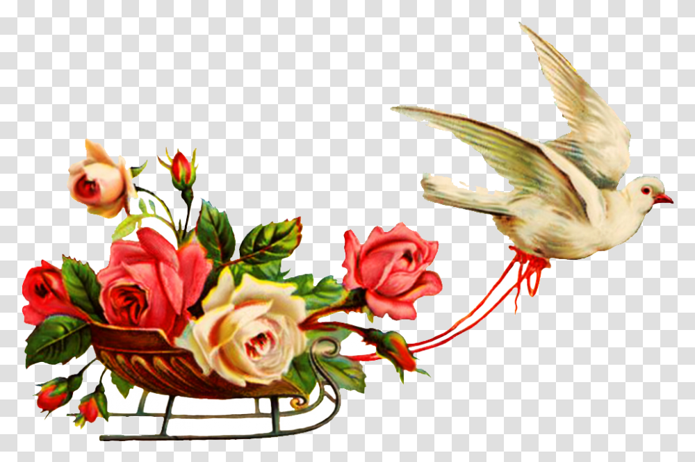 Indian Wedding Clipart Wedding Colour Cliparts, Bird, Animal, Floral Design Transparent Png