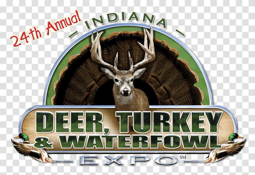 Indiana Deer Turkey Waterfowl Expo Elk, Bird, Animal, Antler, Wildlife Transparent Png