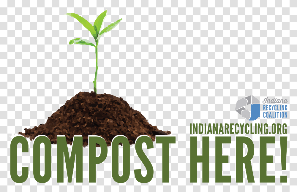 Indiana Recycling Coalition, Plant, Sprout, Soil, Root Transparent Png