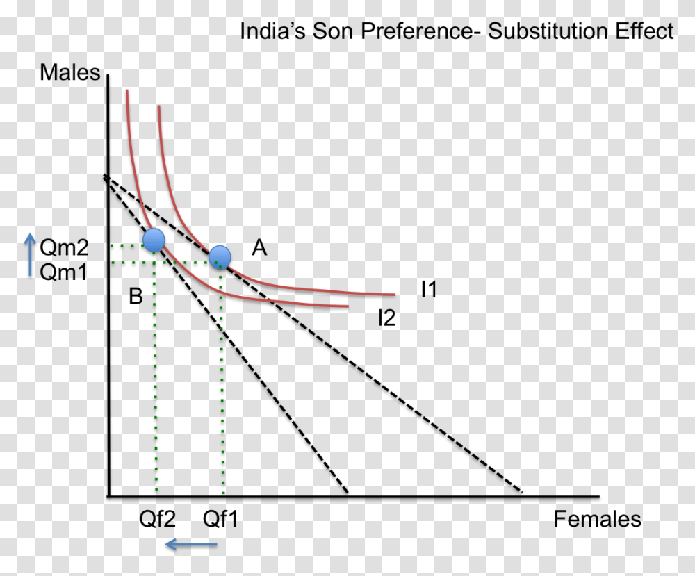 Indias Son Preference Substitution Effect Plot, Bow, Tree, Plant, Astronomy Transparent Png