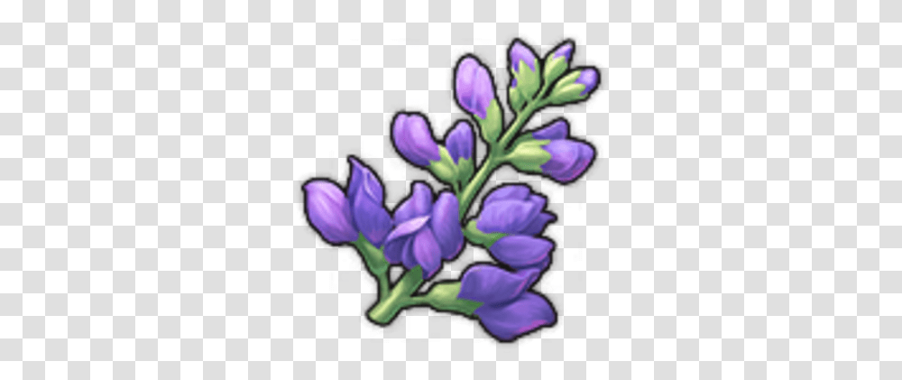 Indigo Dye Skullcap, Plant, Flower, Purple, Graphics Transparent Png