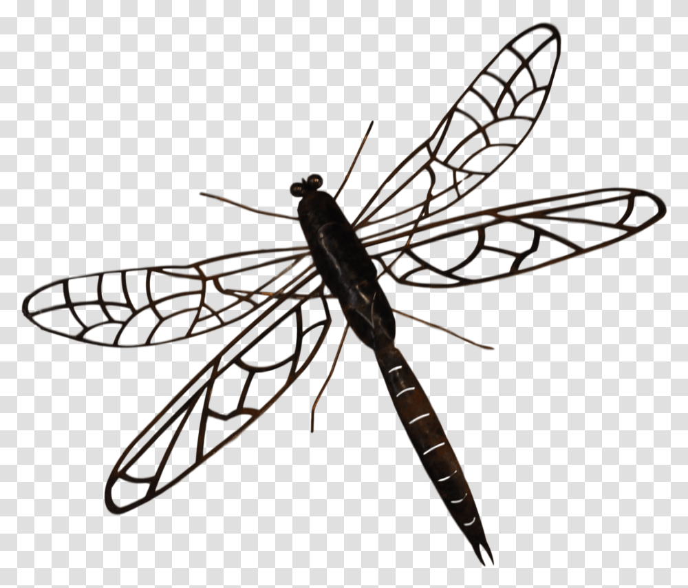 Indigo, Insect, Invertebrate, Animal, Wasp Transparent Png