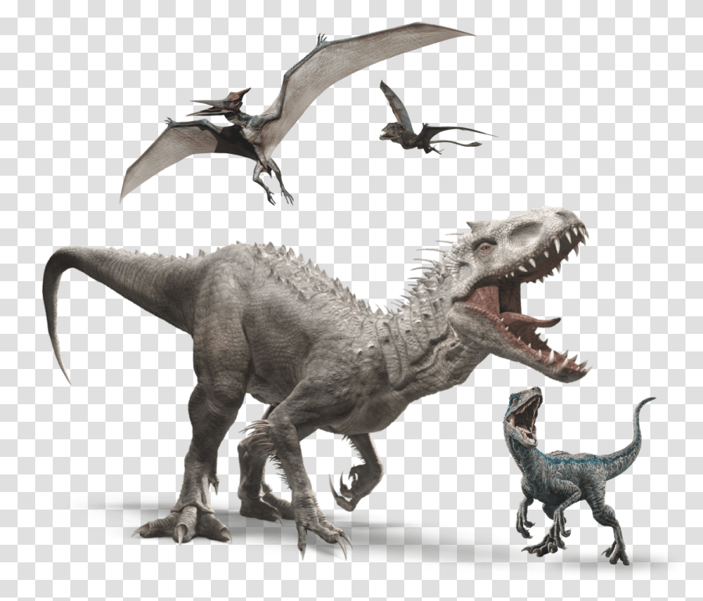 Indominus Rex Background, Dinosaur, Reptile, Animal, Bird Transparent Png