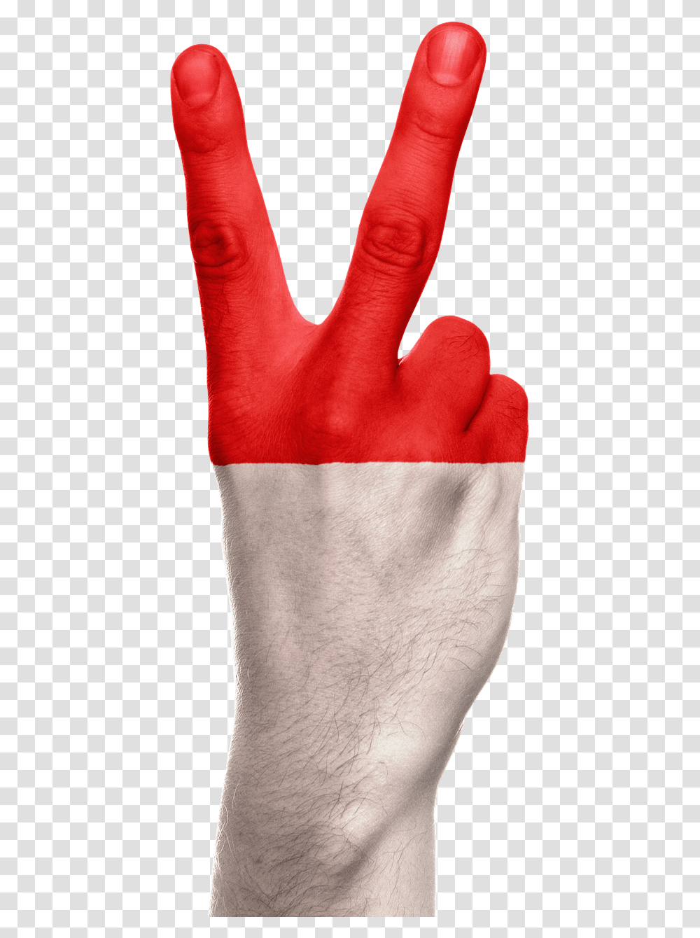 Indonesia Flag Hand Gambar Tangan Bendera Indonesia, Apparel, Person, Human Transparent Png