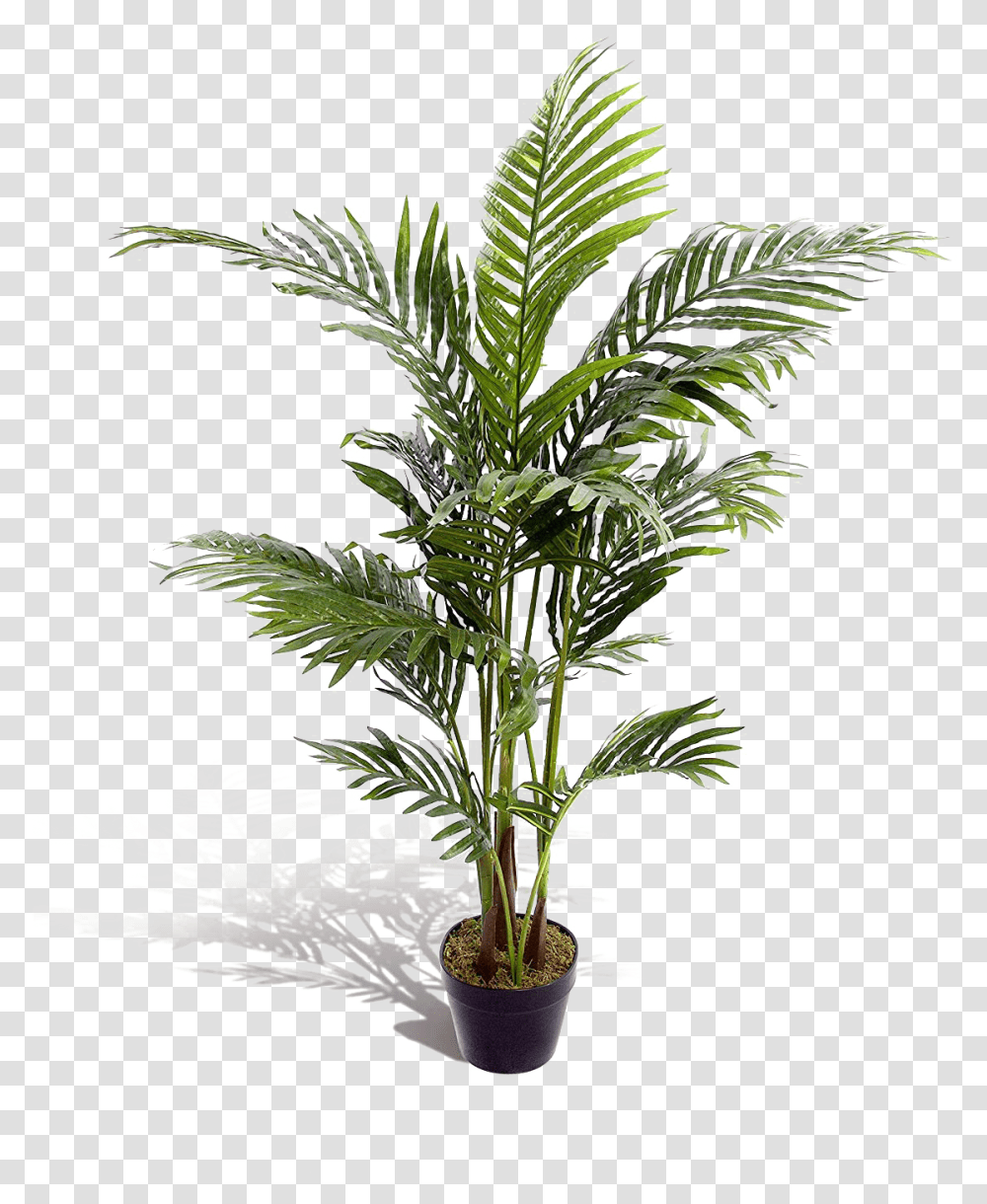 Indoor Artificial Palm Trees, Plant, Arecaceae, Leaf, Green Transparent Png