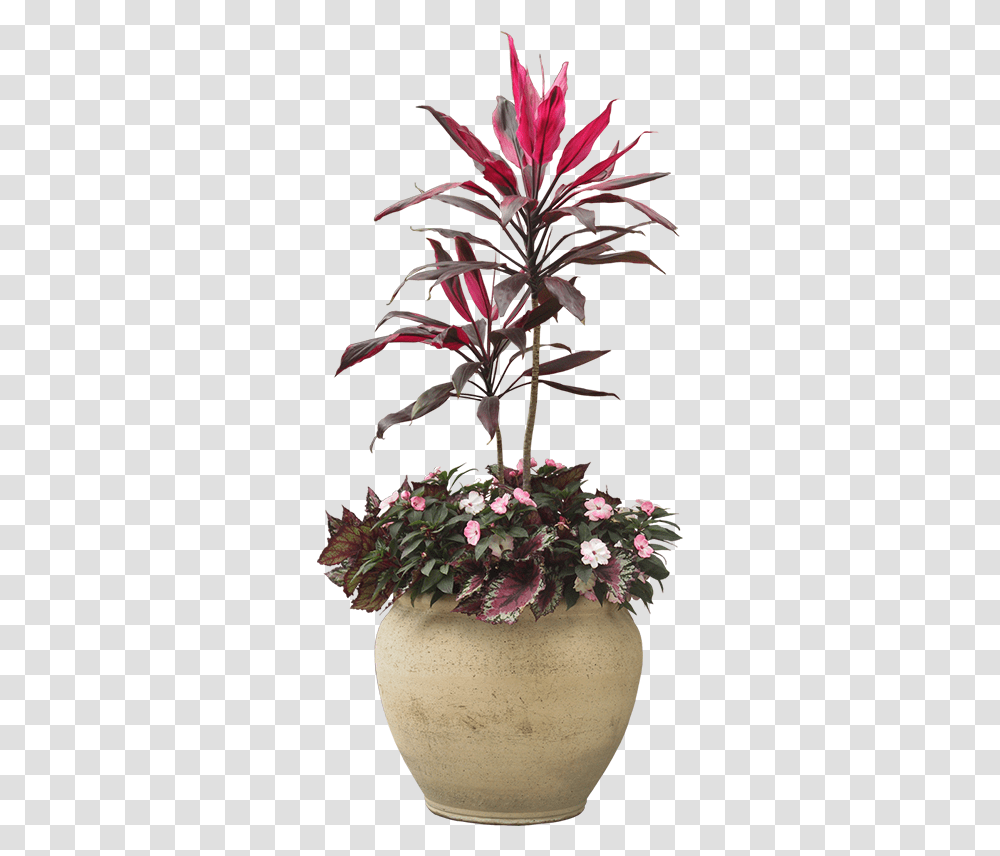 Indoor Plant Potted Plants Download Potted Plants Flowers, Ikebana, Vase, Ornament Transparent Png