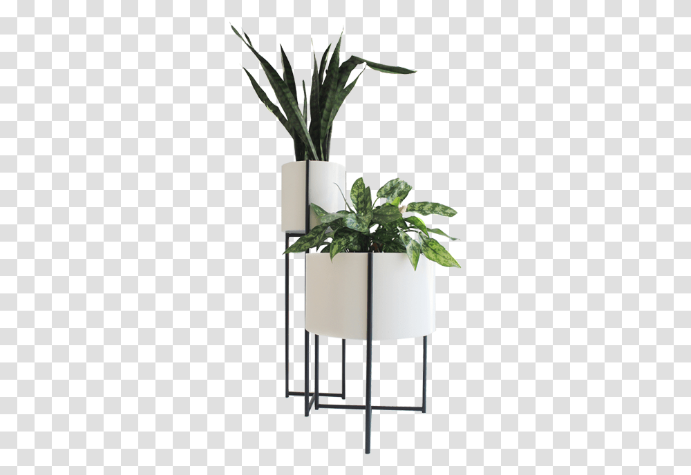 Indoor Potted Plant, Vase, Jar, Pottery, Planter Transparent Png