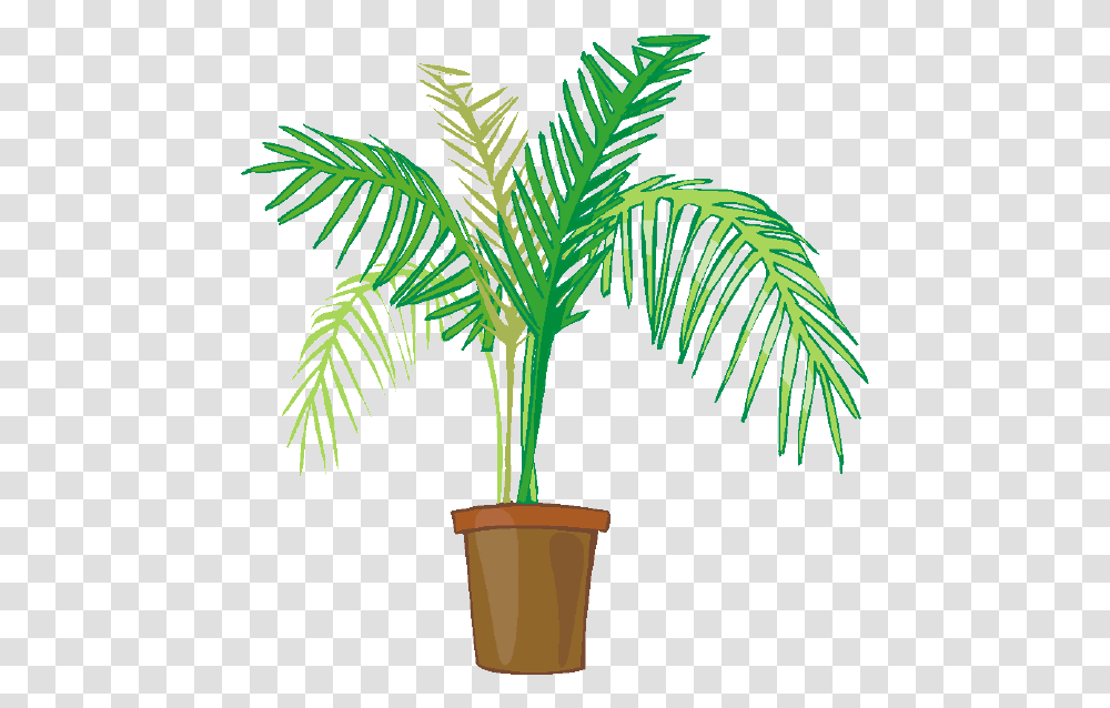 Indoor Potted Plants Palm Plant Clip Art, Tree, Palm Tree, Arecaceae, Dinosaur Transparent Png