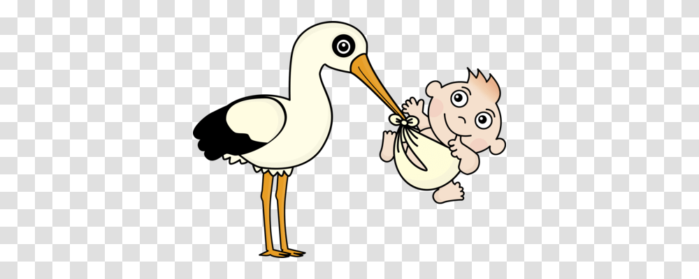 Infant Boy Download Computer Icons Crawling, Animal, Bird, Beak, Seagull Transparent Png