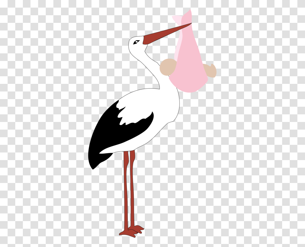 Infant Childbirth Stork Girl, Bird, Animal, Person, Human Transparent Png