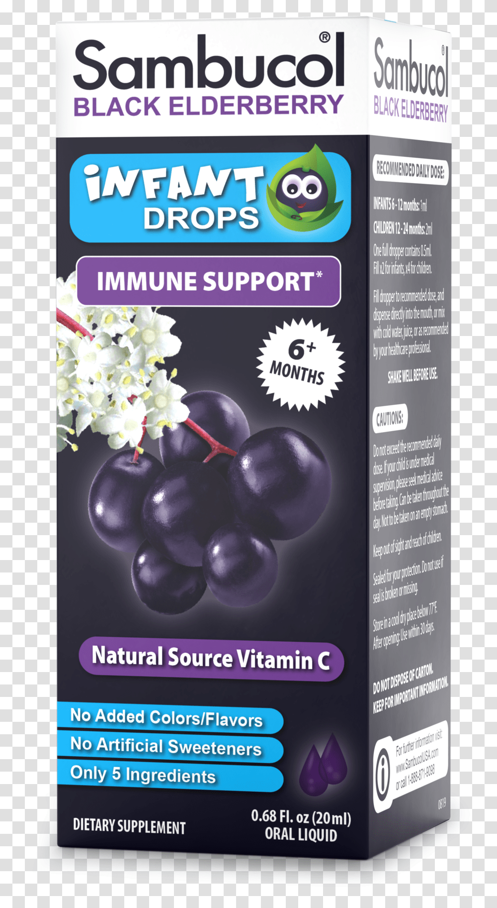 Infant Drops Sambucol Black Elderberry, Plant, Food, Grapes, Fruit Transparent Png