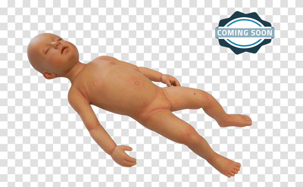 Infant Manikin For Medical Training Anatomical Manikin, Person, Human, Toy, Doll Transparent Png