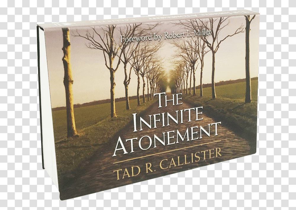 Infinite Atonement, Poster, Advertisement, Novel, Book Transparent Png