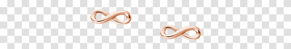 Infinity Symbol Studs Kirstin Ash United Chain, Accessories, Animal, Sea Life, Jewelry Transparent Png