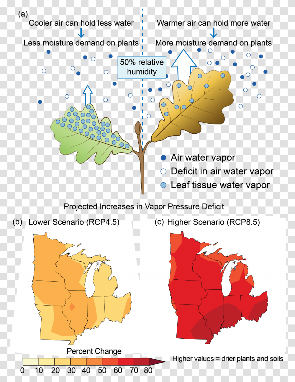 Infographic Displaying The Effects Of Projected Increases National Climate Assessment Midwest, Plot, Map, Diagram, Plant Transparent Png