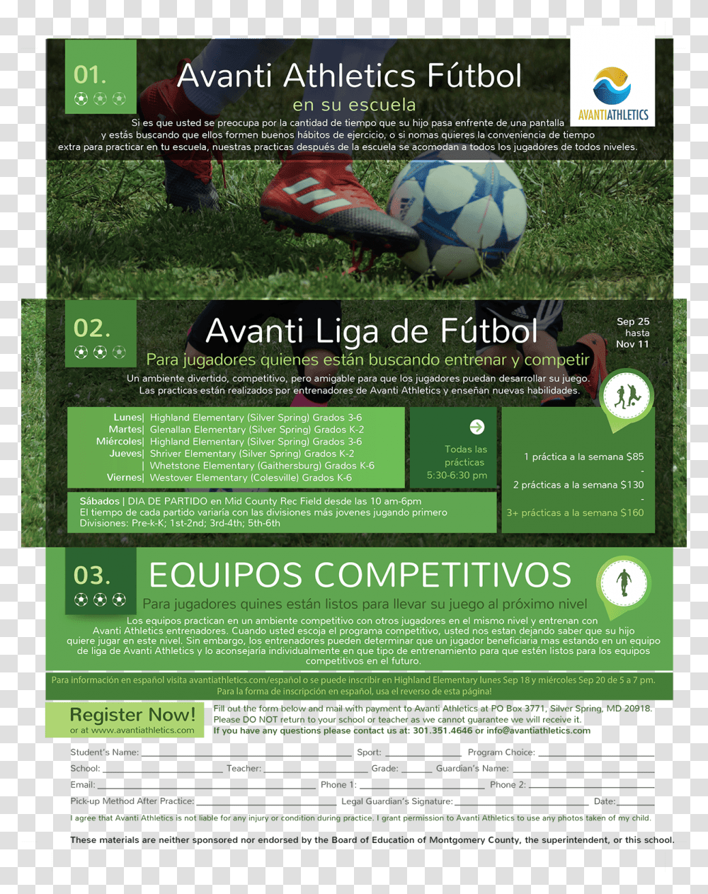 Informacin Para El Programa De Ftbol De Avanti Athletics Artificial Turf, Flyer, Poster, Paper, Advertisement Transparent Png