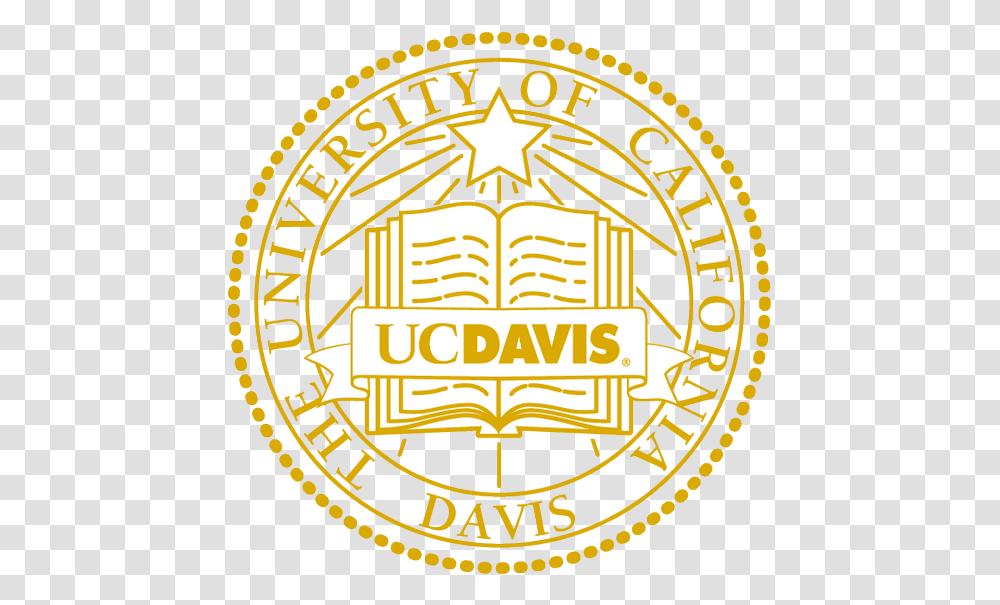 Informal Seal Gold Graduation, Logo, Trademark, Badge Transparent Png