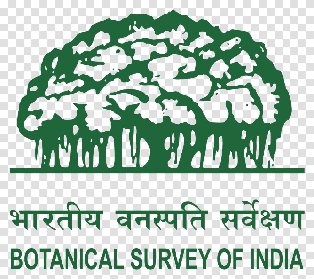 Information About Botanical Survey Of India, Poster, Advertisement, Label Transparent Png