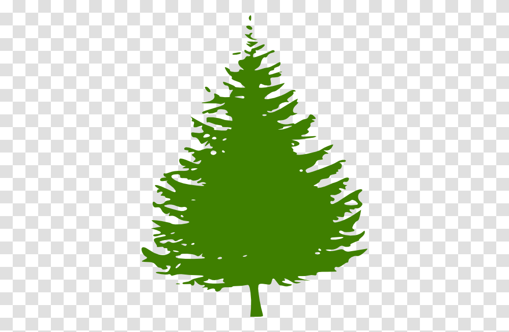 Information Design, Tree, Plant, Christmas Tree, Ornament Transparent Png