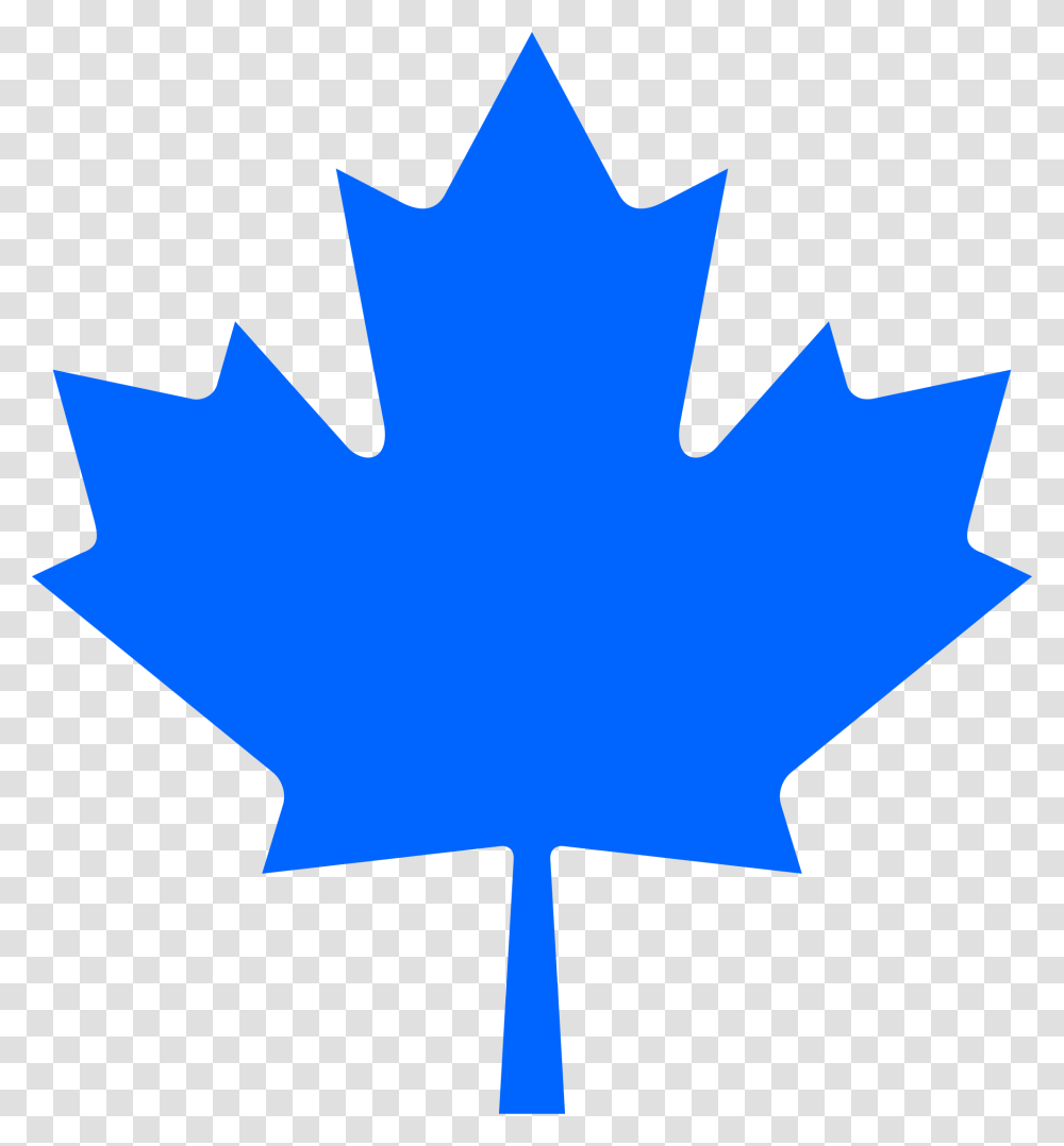 Informative Outline Of Canadian Maple Leaf Brilliant Ideas Free, Plant, Tree, Person, Human Transparent Png
