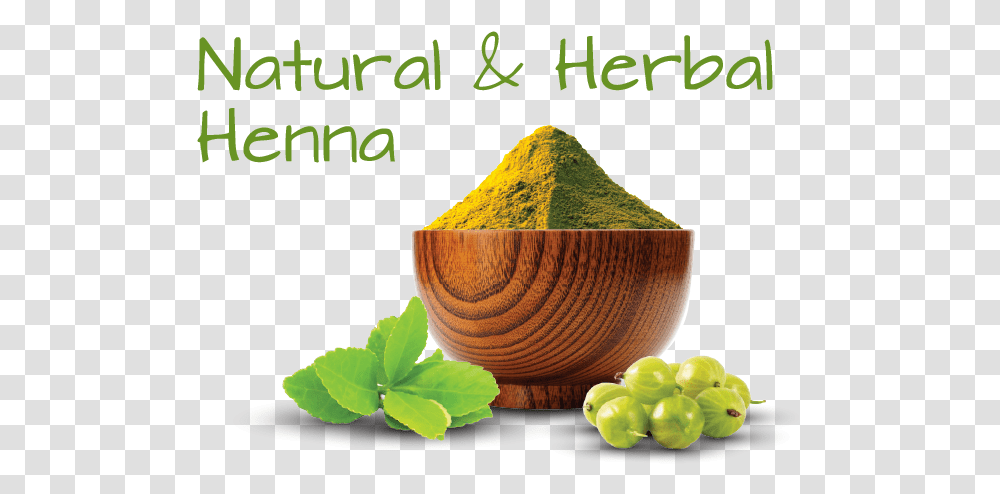 Ingredient Image Template 13 Hair Henna, Plant, Vase, Jar, Pottery Transparent Png