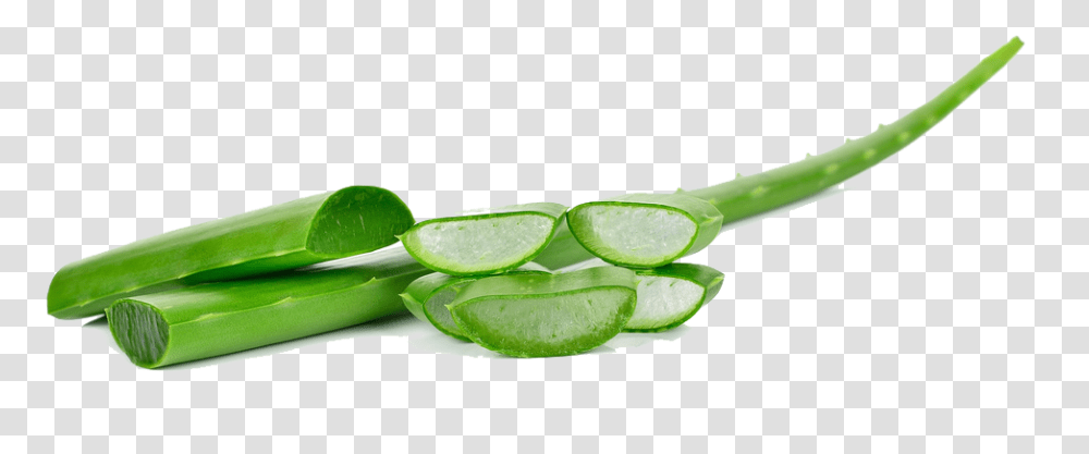 Ingredients Of Aloe Vera, Plant, Sliced, Leaf, Scissors Transparent Png