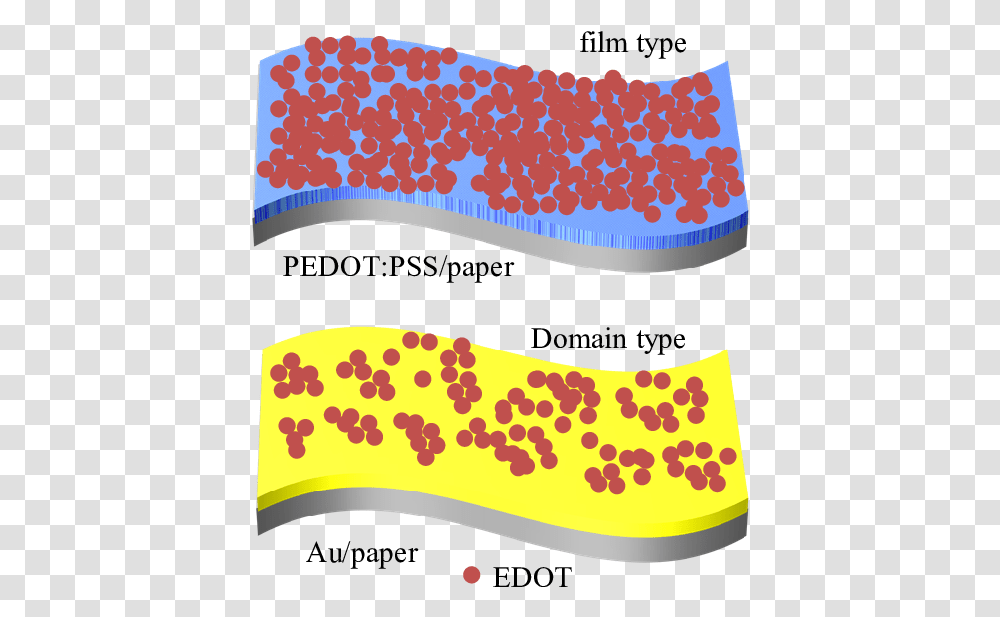 Initial Stage Of Adsorption Of Edot Monomers On, Apparel, Label Transparent Png