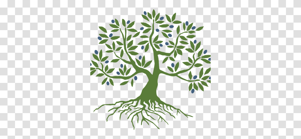 Initiative Image Olive Tree With Roots, Plant, Potted Plant, Vase, Jar Transparent Png