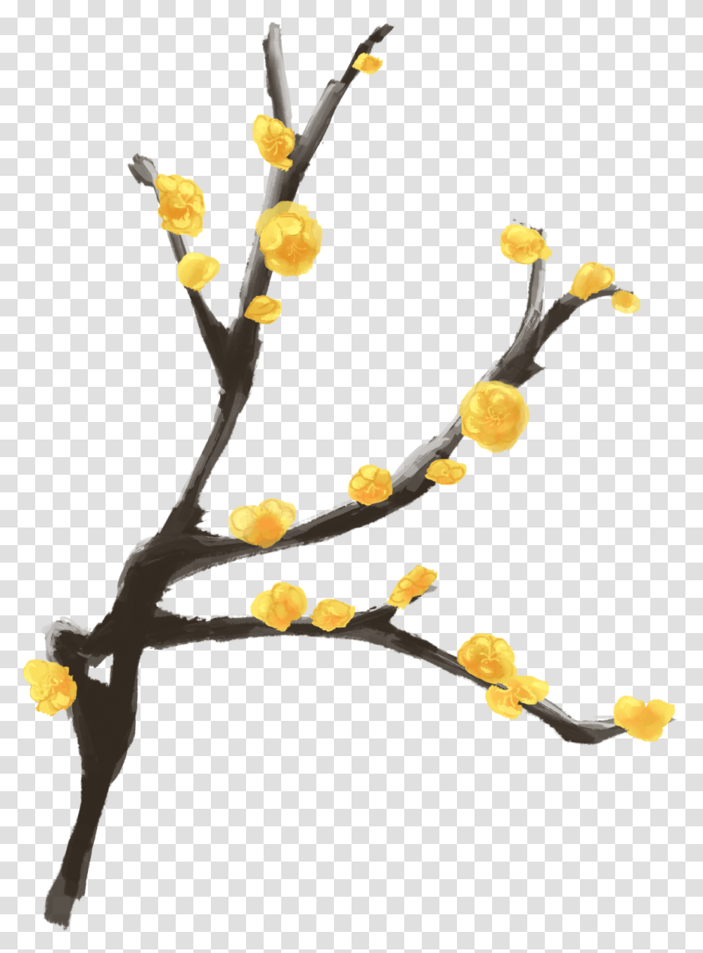 Ink Plum Hand Painted Branch Winter Antique And Illustration, Plant, Flower, Bud, Sprout Transparent Png