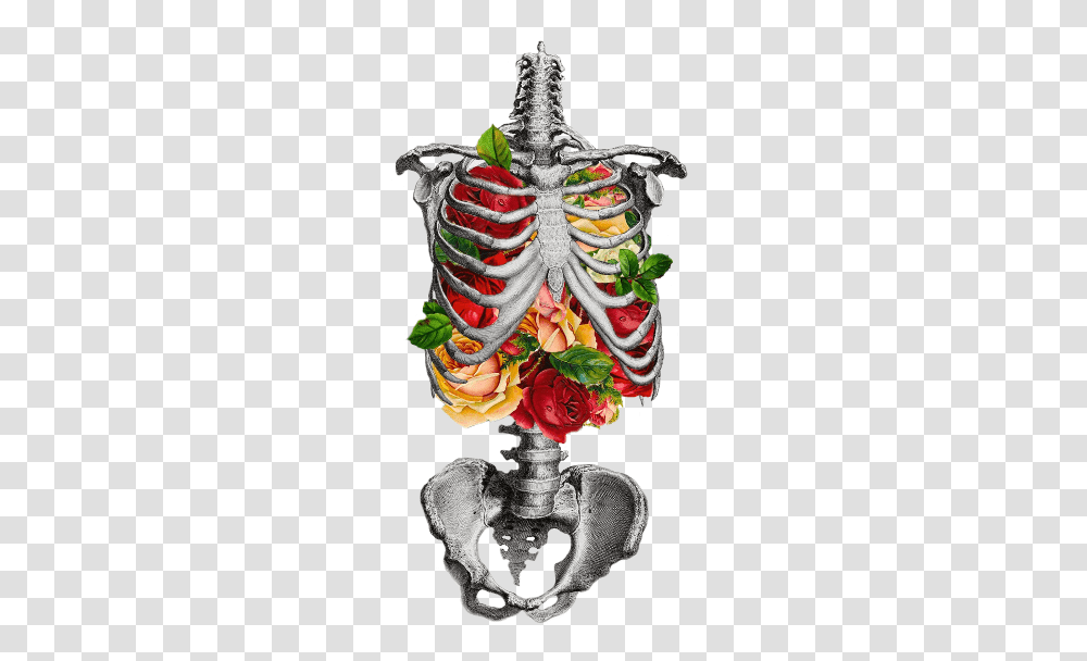 Inner Beauty Skeleton Chest With Flowers, Plant, Floral Design, Pattern Transparent Png