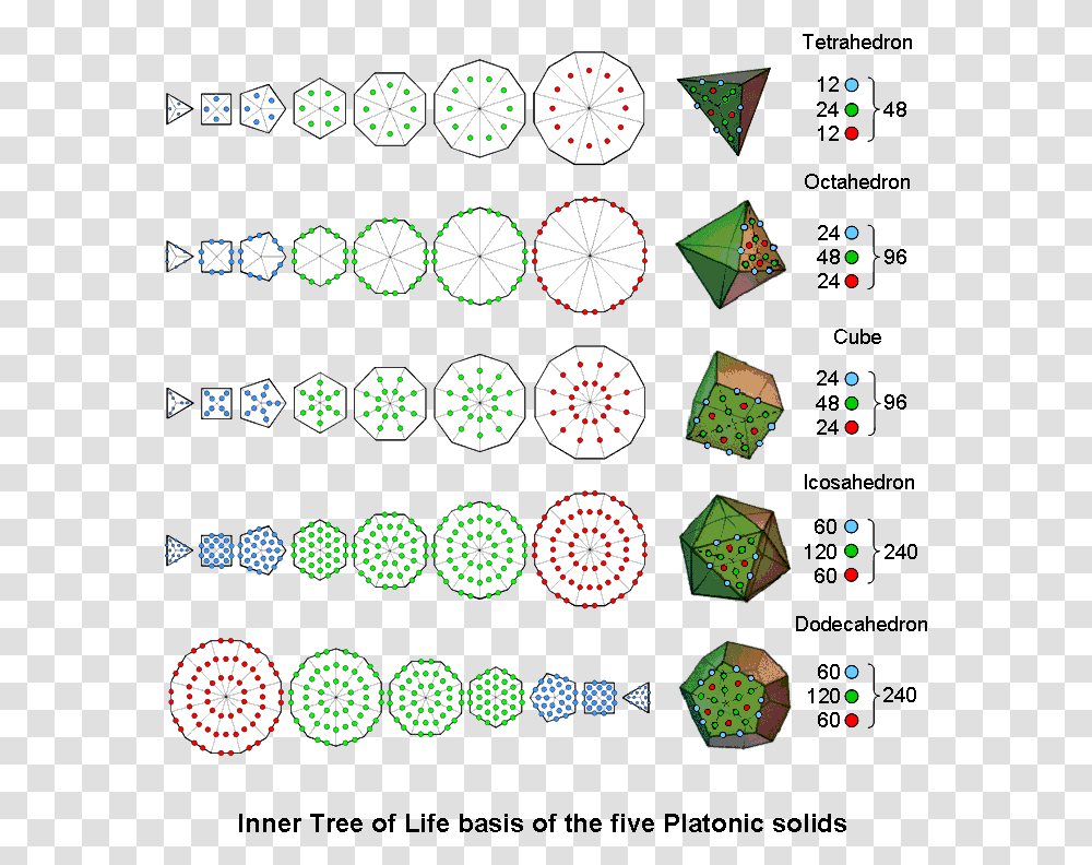 Inner Tree Of Life Basis Of The 5 Platonic Solids Circle, Texture, Polka Dot, Lighting, Clock Tower Transparent Png