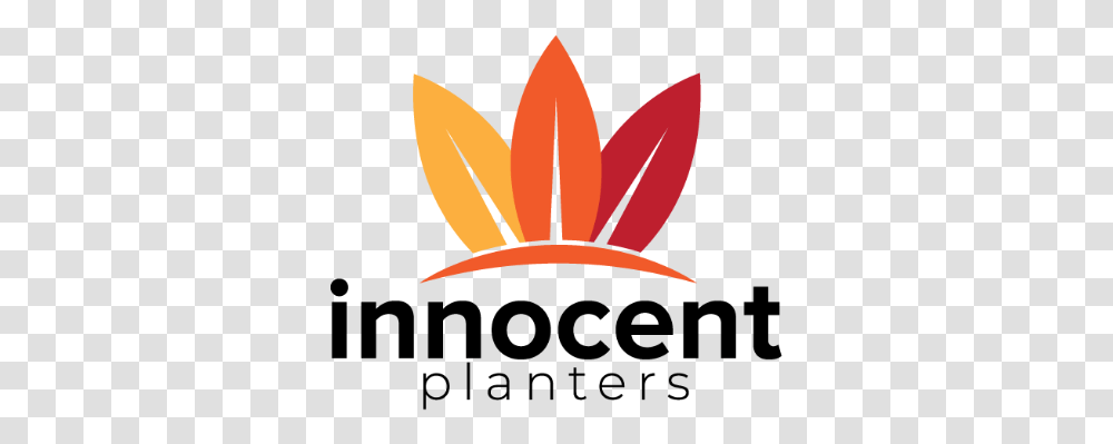 Innocent Planters Bringing Character Into The Home Graphic Design, Leaf, Photography, Flower Transparent Png