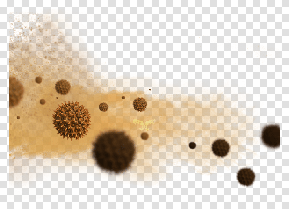 Innovation Pollen, Plant, Flower, Blossom, Rug Transparent Png