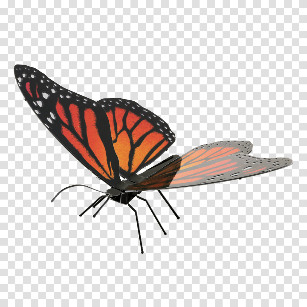 Innovatoys Metal Earth Online Store, Bird, Animal, Butterfly, Insect Transparent Png