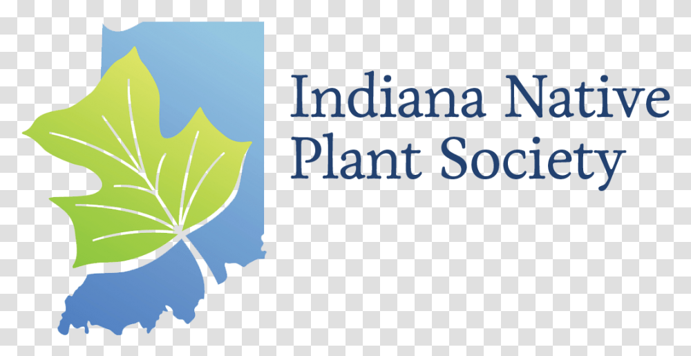 Inps 2019 Annual Conference, Leaf, Plant, Flower Transparent Png