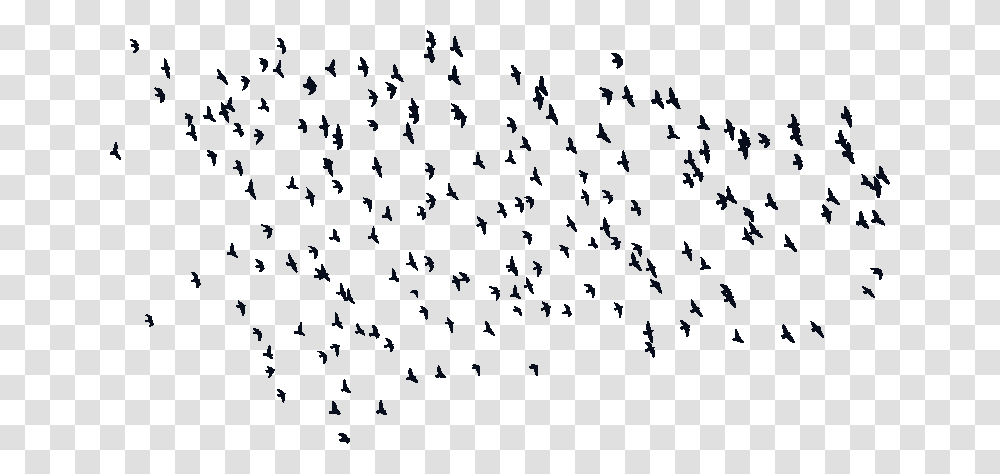 Input Flock Of Birds Silhouette Download Flock, Outdoors, Nature, Crowd, Halo Transparent Png