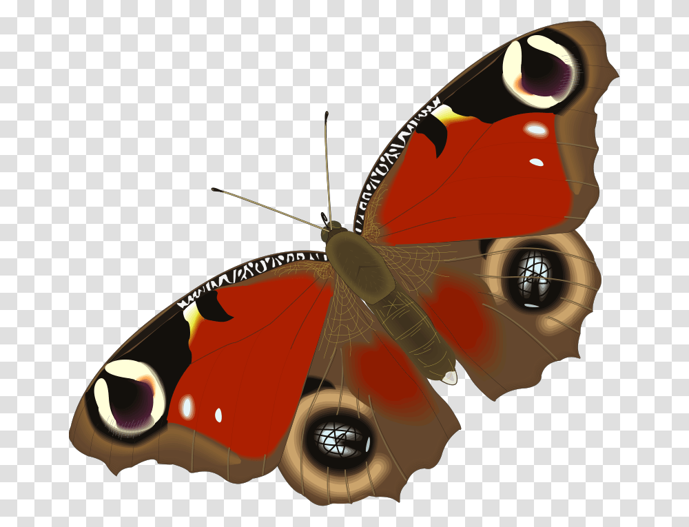Insect 03 Free Vector Peer Massage Bunny Hops, Butterfly, Invertebrate, Animal, Moth Transparent Png
