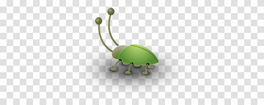 Insect Animals, Invertebrate, Snail, Bronze Transparent Png