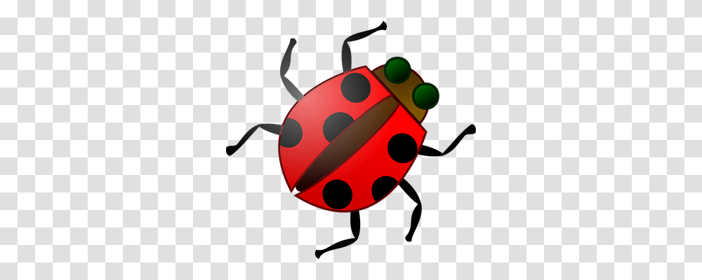 Insect Nature, Tick, Bomb, Weapon Transparent Png